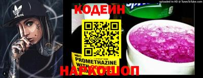 индика Обнинск